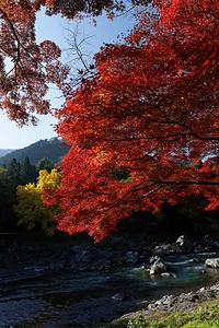 御岳渓谷