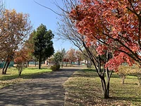 都立六仙公園