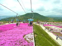 茶臼山高原