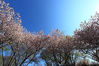 天平の丘公園