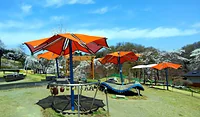 観音山公園