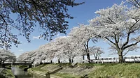 伊佐沼公園