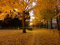 保土ヶ谷公園