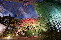 六義園