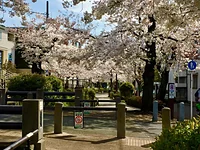 北沢川緑道