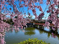 九華公園(桑名城跡)