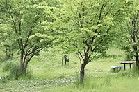 黒鳥山公園