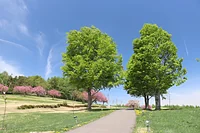 安比高原