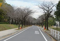 市原緑地運動公園