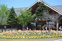 秋田県立北欧の杜公園