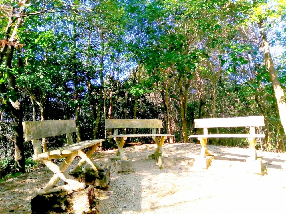 南部丘陵公園の写真8