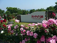 かのやばら園