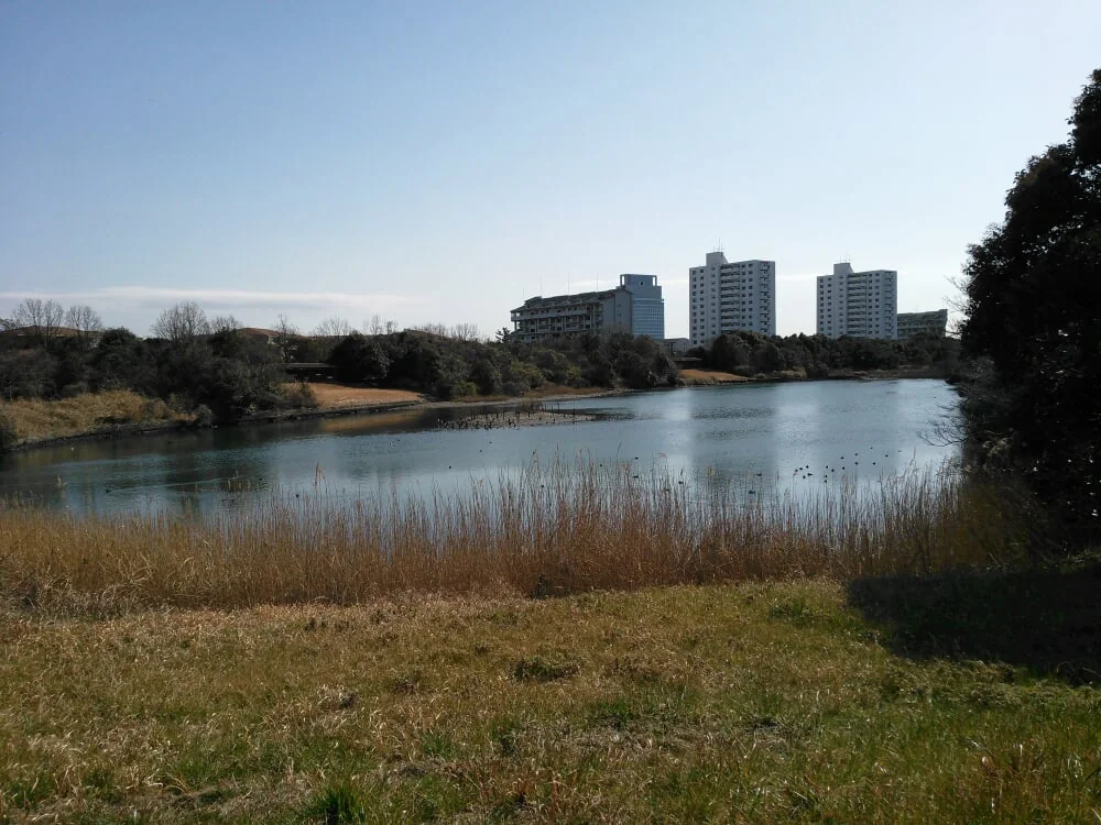 長浜公園