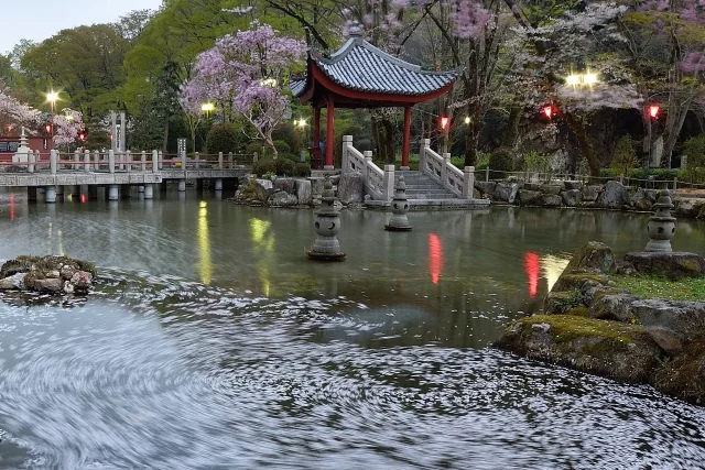 岐阜公園の写真6
