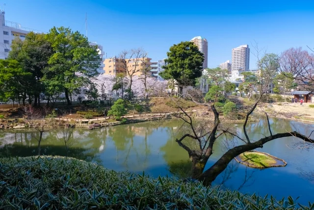 肥後細川庭園の写真5