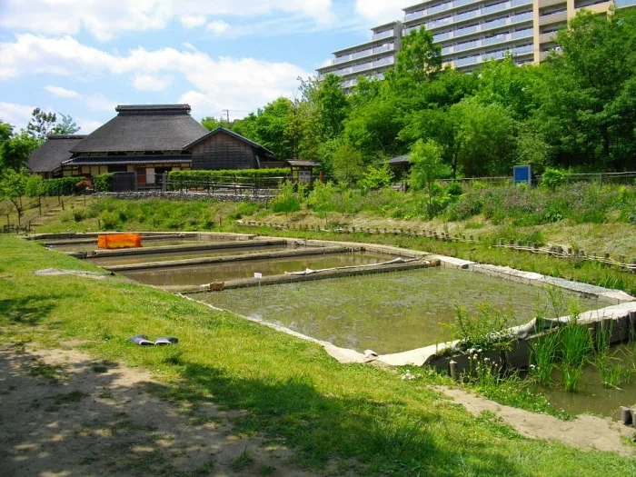 赤羽自然観察公園の写真3