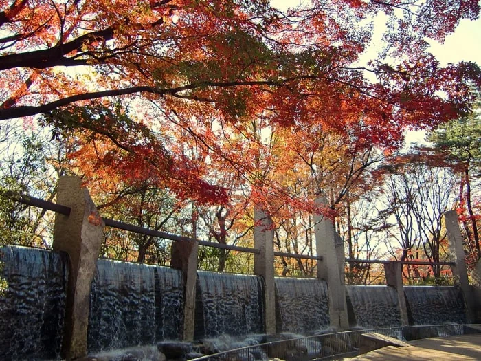 蚕糸の森公園の写真2