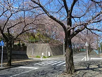 菅さくら公園