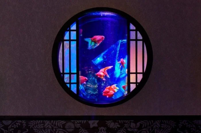 アートアクアリウム美術館の写真6