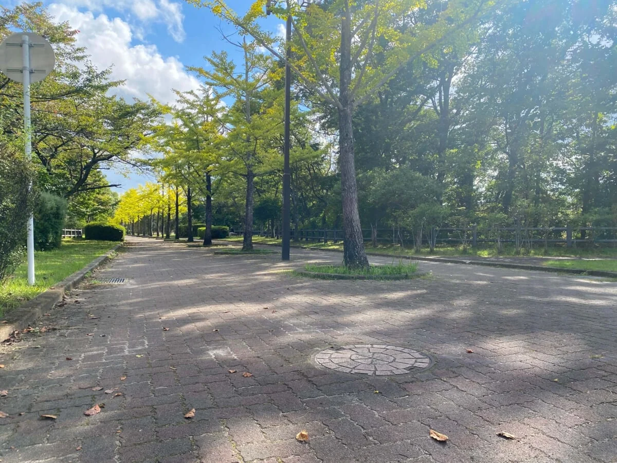 海の見える丘公園の写真6