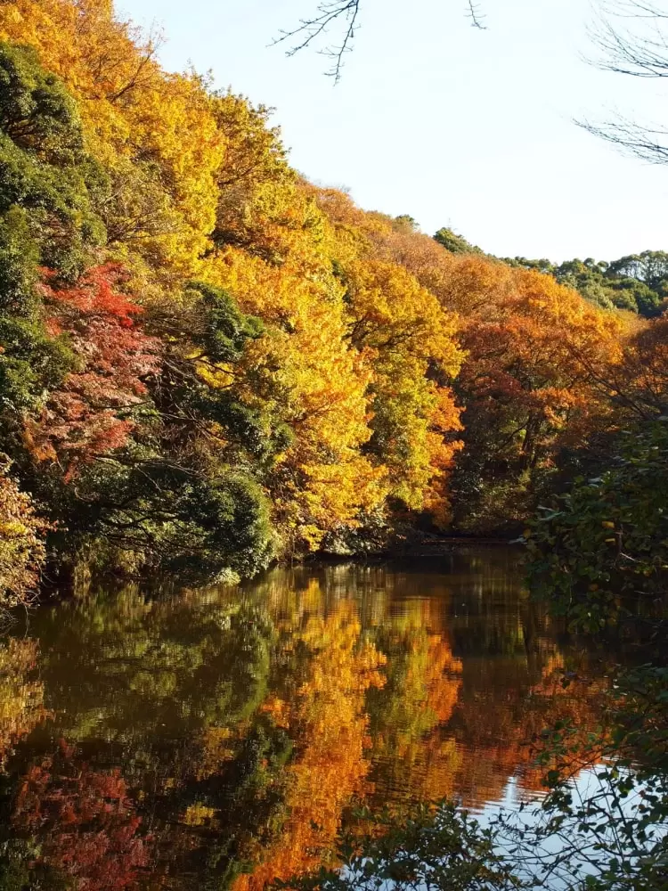 散在ガ池森林公園