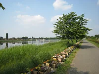 城沼
