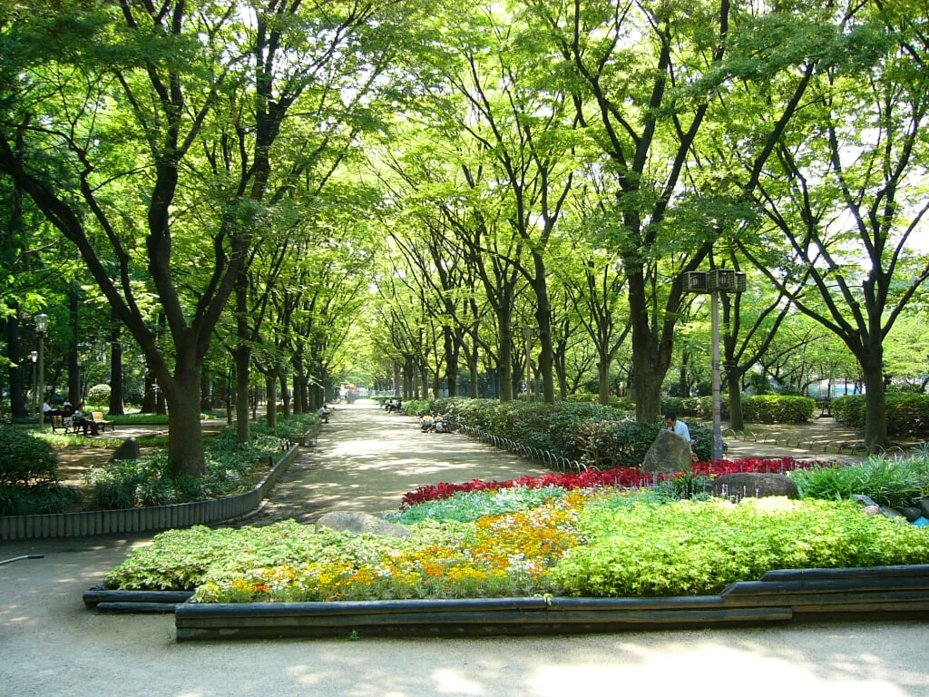 靭公園の写真3