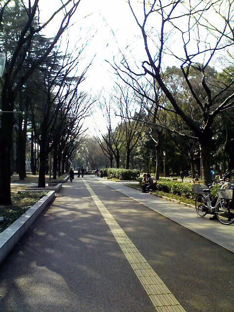 靭公園の写真7