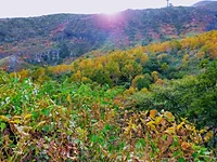 那須高原