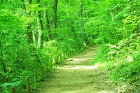市立野山北公園・プール