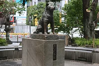 ハチ公前広場