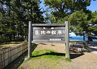 気比の松原(松原公園)