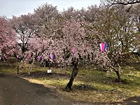 つがの里