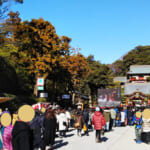 【初詣】鎌倉鶴岡八幡宮の渋滞と混雑｜屋台はいつまでやっているのか