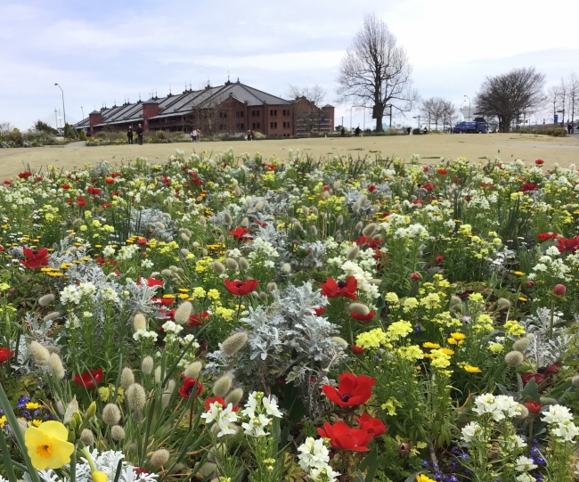 60万本の花が咲き誇る「ガーデンネックレス横浜2019」がいよいよ開催