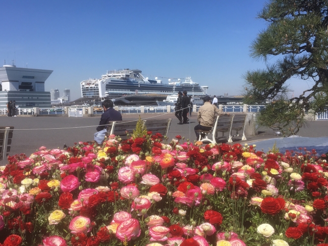 60万本の花が咲き誇る「ガーデンネックレス横浜2019」がいよいよ開催