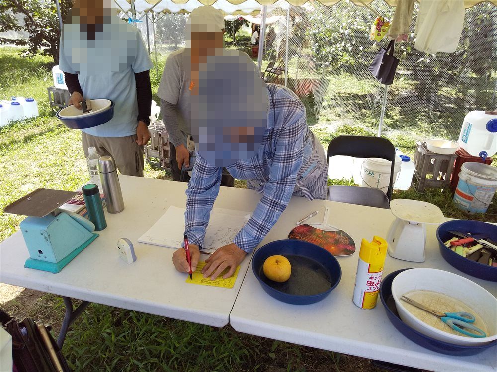 中込農園　梨狩り受付
