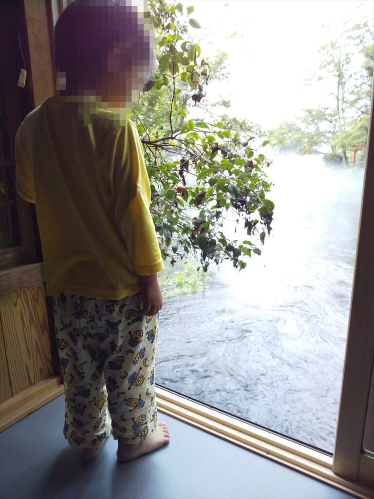 湧玉池の部屋