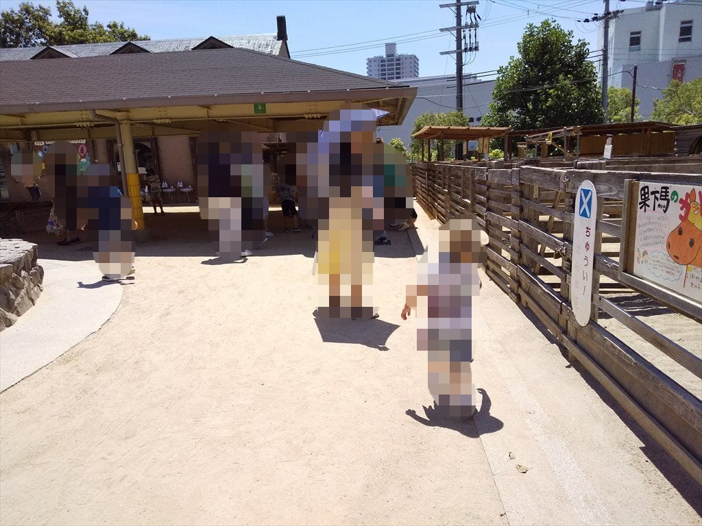 神戸王子動物公園ふれあい動物園