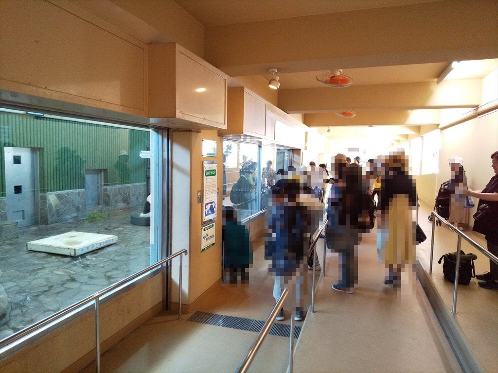 神戸王子動物公園パンダ