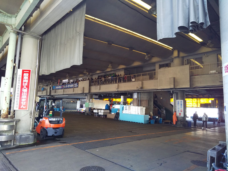 小田原漁港、魚市場食堂