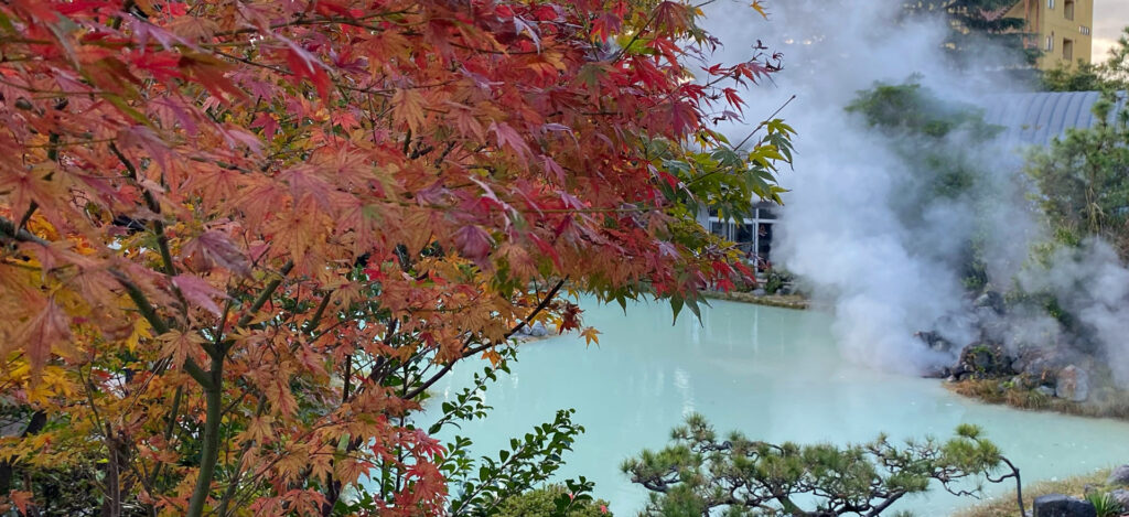 大分別府の紅葉越しに望む湯けむりの白池地獄